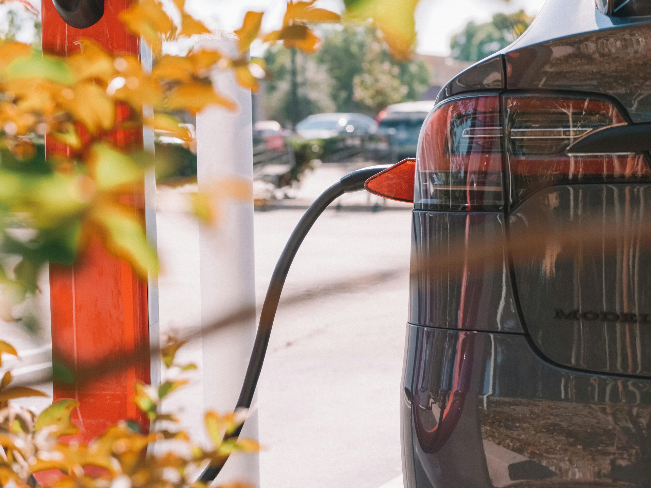 EV Charging With Leaves An EV plugged in to a charge point with some Autumnal leaves in the foreground.