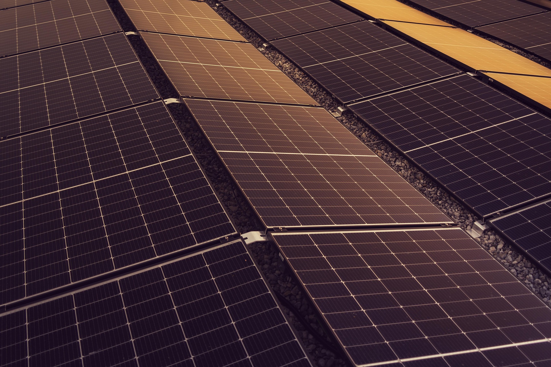 Commercial Solar Panels At Sunset