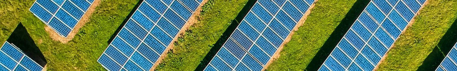 A solar farm with solar panels in a green field.